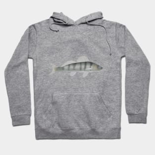 Volga Pikeperch Hoodie